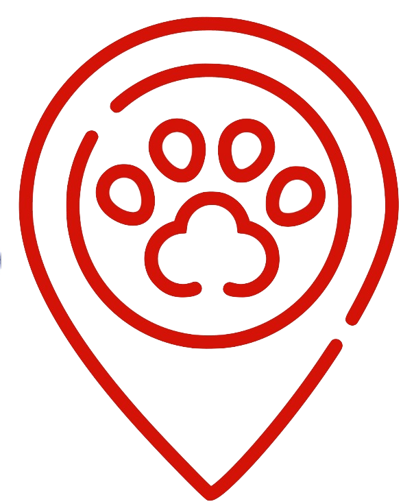 One Pet